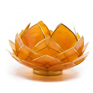 Lotus Mood Light Orange Gold Rim Large