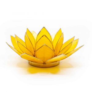 Lotus Mood Light Yellow 3rd Chakra Gold Edge