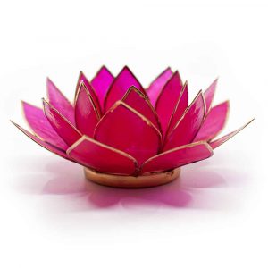 Lotus Mood Light Fuchsia Gold Rim