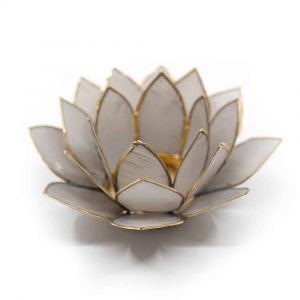 Lotus Mood Light Grey Gold Edge