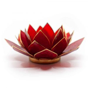 Lotus Mood Light Red 1st Chakra Gold Rim