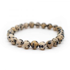 Gemstone Bracelet Dalmatian Jasper