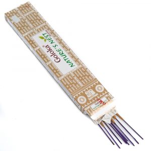 Goloka Nature's Nest Incense (1 Pack)