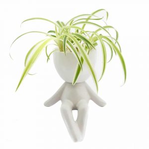 Flowerpot Guy Sitting White