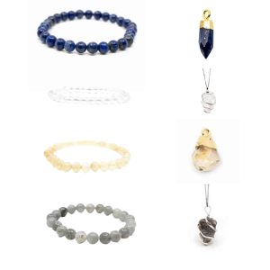 Lion Jewelry Set - Bundle