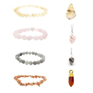 Crab Jewelry Set - Bundle