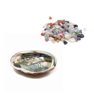 Abalone Shell with Tumbled Stones Surprise Mix - Bundle