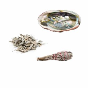 White Sage Smudge with Abalone Shell - Bundle