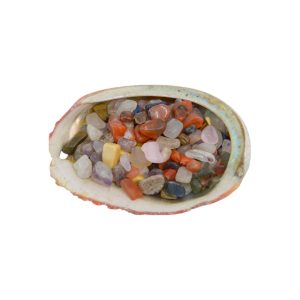 Abalone Shell with Tumbled Stones Surprise Mix - Bundle